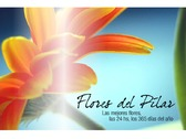 Flores Del Pilar