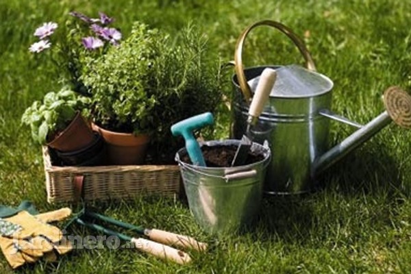 Cómo preparar el jardín para la llegada del verano