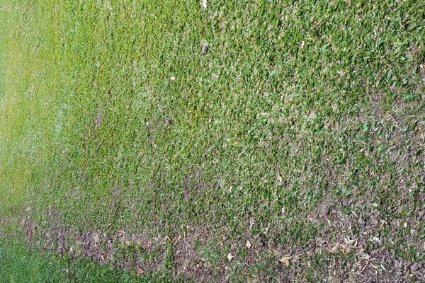 TÉCNICAS DE INSTALACIÓN QUE CUIDAN TU JARDÍN