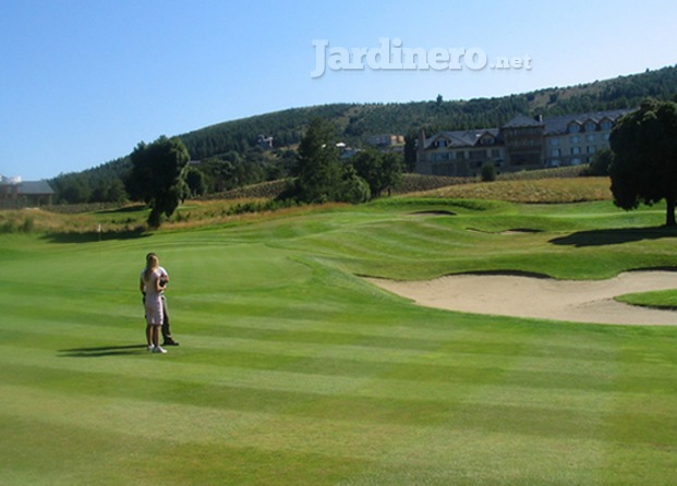 Campos de golf