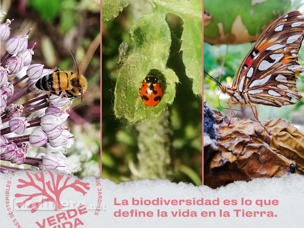 biodiversidad