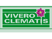 Vivero Clematis