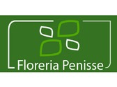Florería Penisse