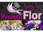 Pronto Flor