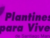 plantines arbustivos para viveros