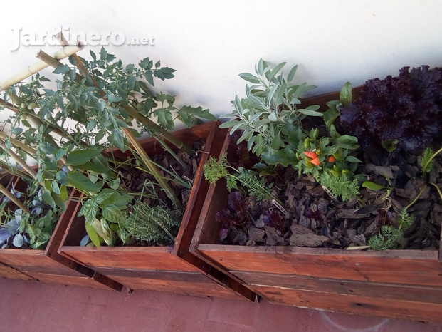 Huerta de estación en macetas