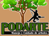 PODARTE | Poda de árboles en altura