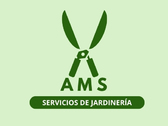 AMS