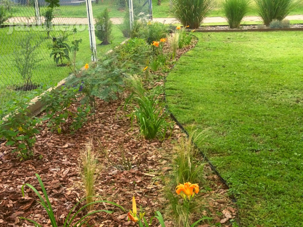 Jardín naturista 2