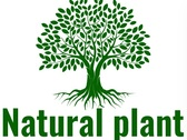 Natural Plant