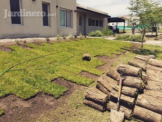 Parquización con grama bahiana en Praderas de San Lorenzo