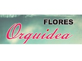 Flores Orquidea