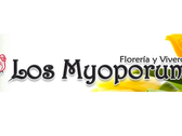 Los Myoporum