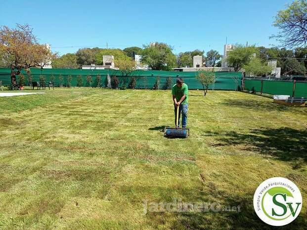 Resultado: Colocación de césped 300 m2 de Tifway  419.