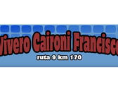 Vivero Caironi Francisco