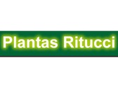 Plantas Ritucci