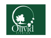 Olivid