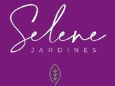 Selene Jardines