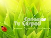 :: Cortamos Tú Césped :: Servicio Express de Jardinería