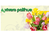 Vivero Palihue