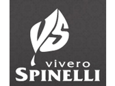 Vivero Spinelli