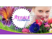 Akebia Florería