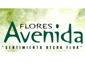 Flores Avenida