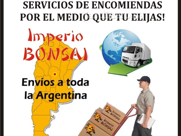 Servicio de encomiendas