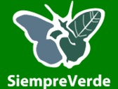 Siempre Verde