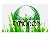 Cynodon