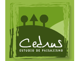 Estudio Cedrus