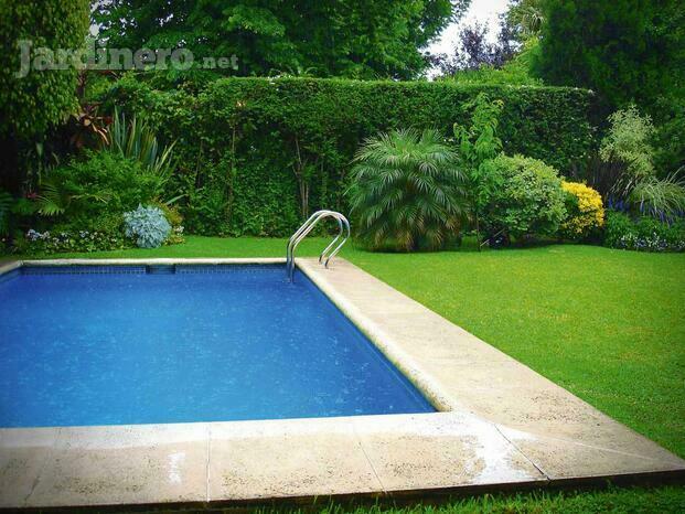 Devoto Garden