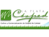 La Plata Césped