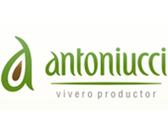 Antoniucci