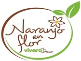 Vivero Naranjo en flor