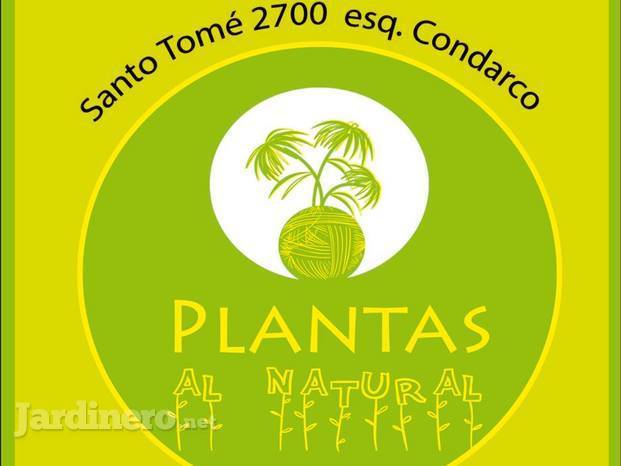 Plantas Al Natural