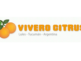 Vivero Citrus