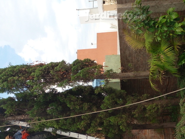 20220219_091401.jpg