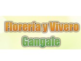 Florería Y Vivero Gangale