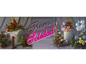 Flores Soledad