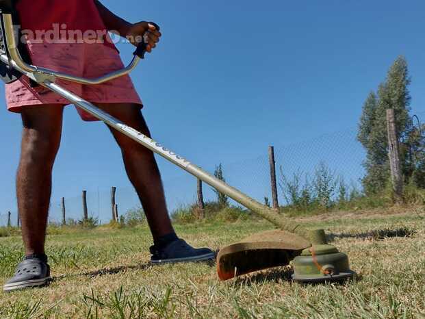 Limpieza de bordes y emparejamineto