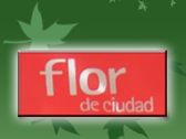 Flor De Ciudad
