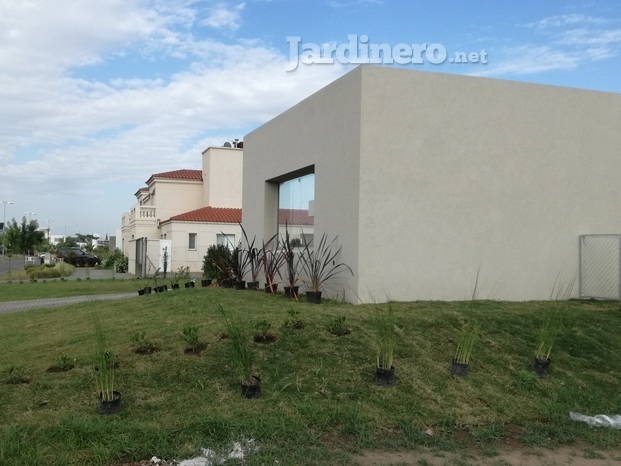 Jardinería en Casas